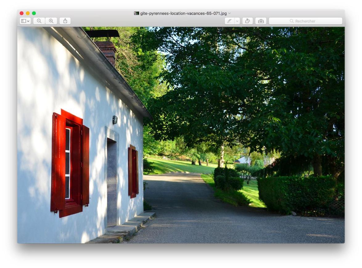 Le Chalet Des Pyrenees St Savin Saint-Savin  Eksteriør billede
